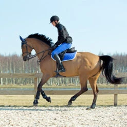 Horze Chooze Vielseitigkeitsschabracke 26 Horze Chooze Vielseitigkeitsschabracke -Cavallo Verkäufe 17000 LLB 2