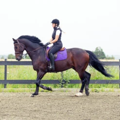 Horze River Vielseitigkeitsschabracke -Cavallo Verkäufe 17014 PU PU 2