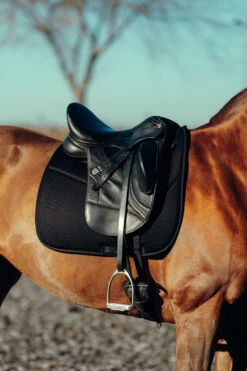 Horze Phoenix Dressurschabracke 29 Horze Phoenix Dressurschabracke -Cavallo Verkäufe 17295 BL 4