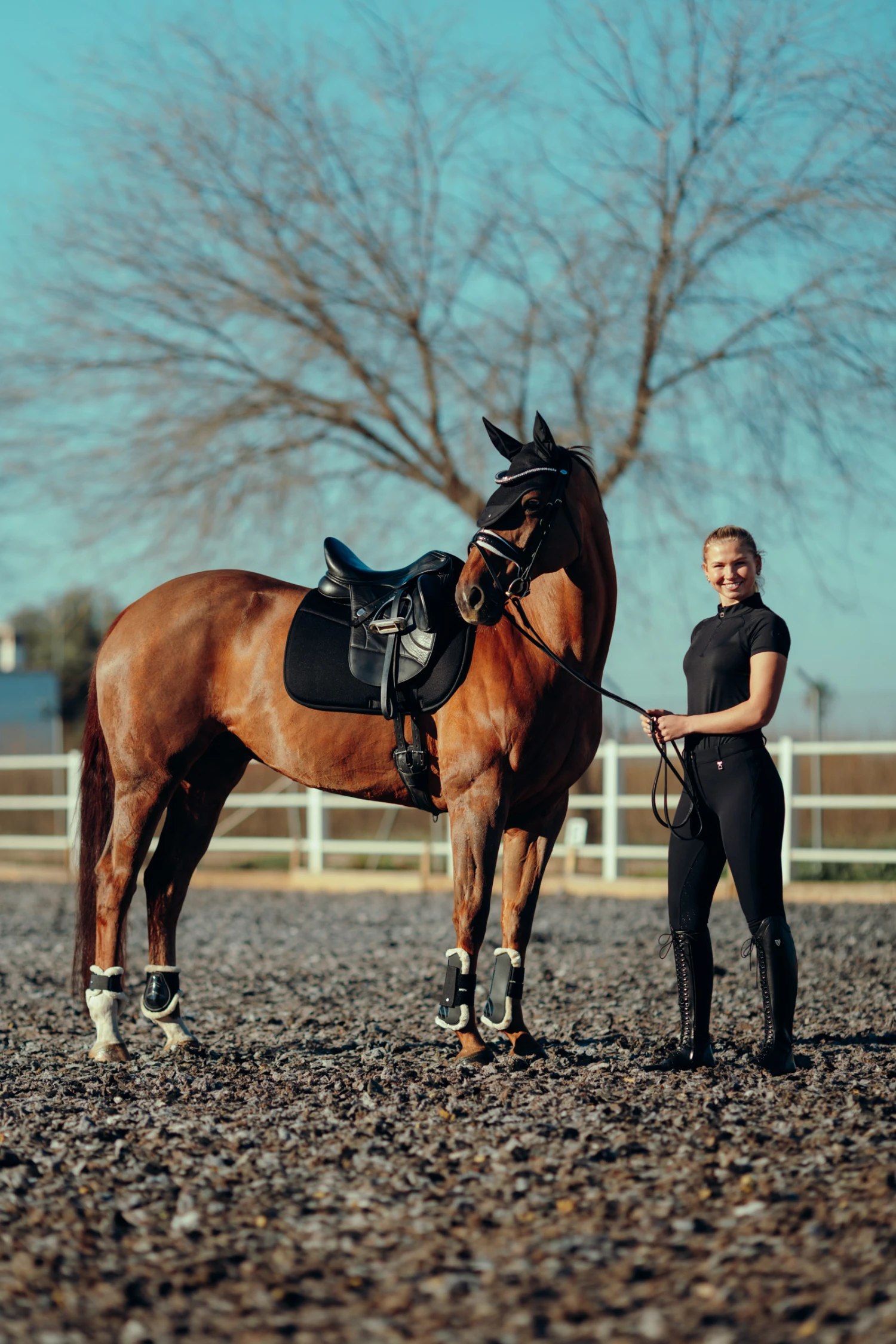 Horze Phoenix Dressurschabracke 12 Horze Phoenix Dressurschabracke – Bild 10