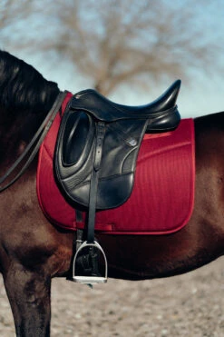 Horze Phoenix Dressurschabracke 24 Horze Phoenix Dressurschabracke -Cavallo Verkäufe 17295 adpi 04