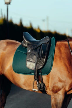 Horze Phoenix Dressurschabracke 34 Horze Phoenix Dressurschabracke -Cavallo Verkäufe 17295 stgr 04