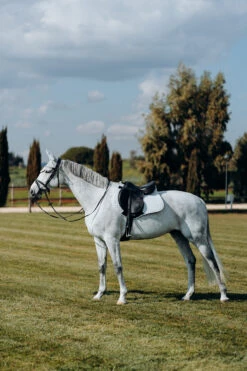 Horze Kühlende Vielseitigkeitsschabracke 30 Horze Kühlende Vielseitigkeitsschabracke -Cavallo Verkäufe 17307 PBG 3