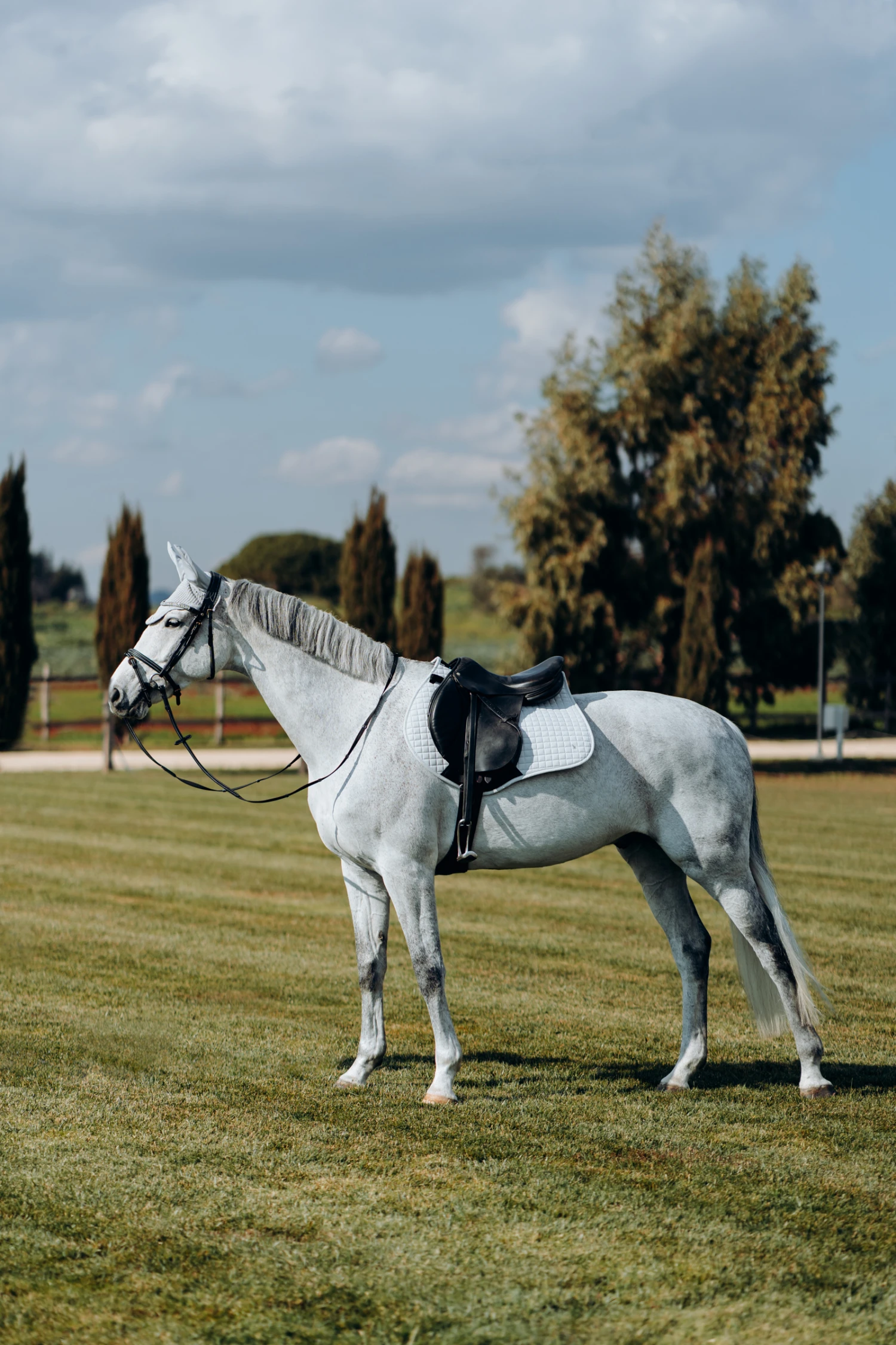 Horze Kühlende Vielseitigkeitsschabracke 12 Horze Kühlende Vielseitigkeitsschabracke – Bild 10
