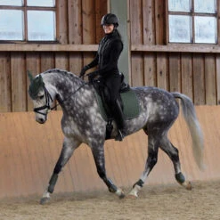 Horze Adepto Vielseitigkeitsschabracke 40 Horze Adepto Vielseitigkeitsschabracke -Cavallo Verkäufe 17343 BKGR 7