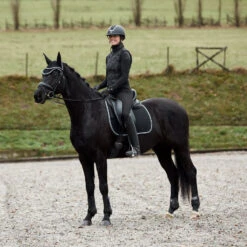 Horze Adepto Vielseitigkeitsschabracke 31 Horze Adepto Vielseitigkeitsschabracke -Cavallo Verkäufe 17343 BL 5