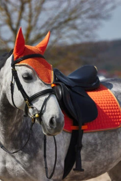 Horze Adepto Vielseitigkeitsschabracke 25 Horze Adepto Vielseitigkeitsschabracke -Cavallo Verkäufe 17343 cgo 04