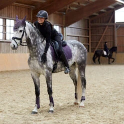 Horze Adepto Dressurschabracke 27 Horze Adepto Dressurschabracke -Cavallo Verkäufe 17353 BLPU 6