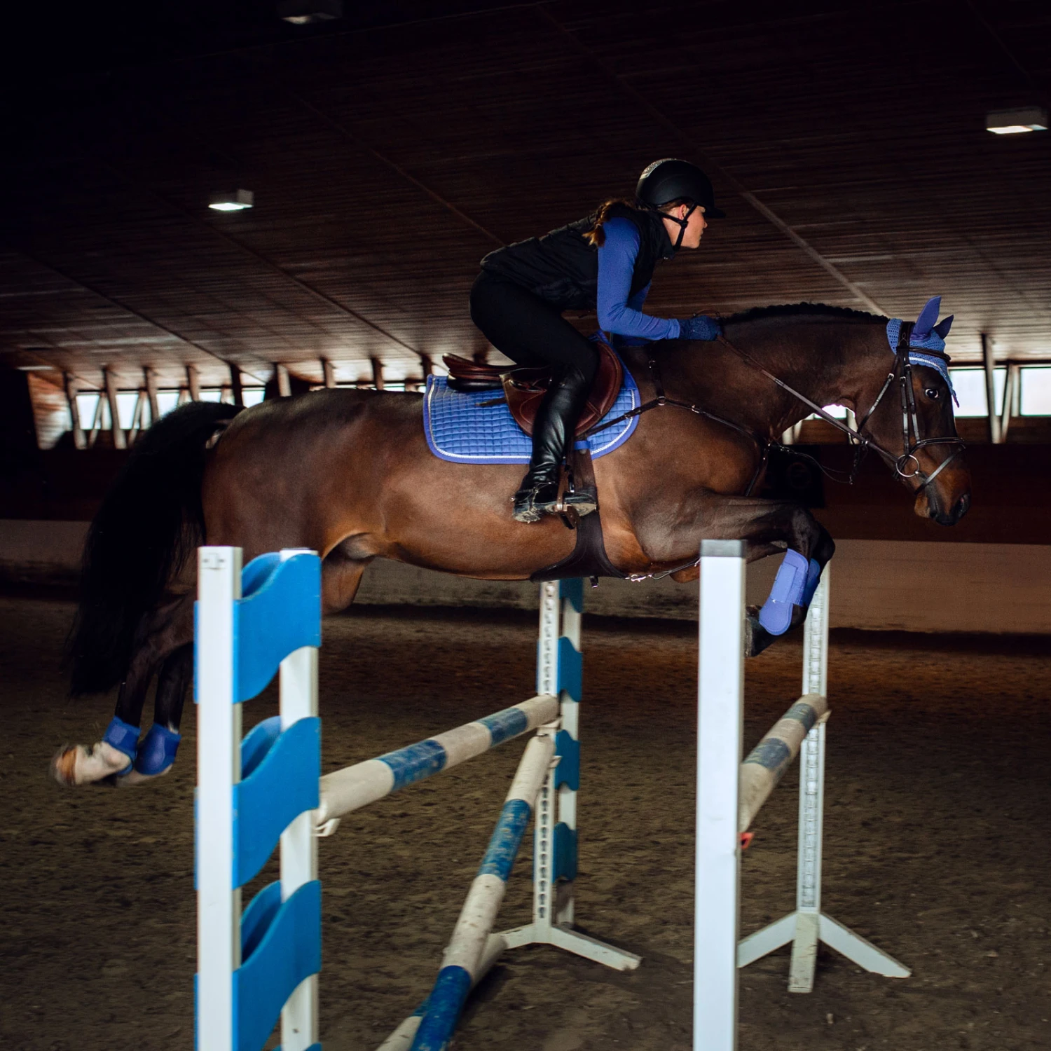 Horze Glarus Dressurschabracke Mit Metallischem Flechtdetail 12 Horze Glarus Dressurschabracke Mit Metallischem Flechtdetail – Bild 10