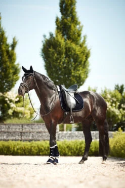 Horze Ghent Dressurschabracke Mit Kunstfell -Cavallo Verkäufe 17416 VDB 4