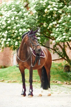 Horze Monster Pony Schabracke Mit Bestickung 16 Horze Monster Pony Schabracke Mit Bestickung -Cavallo Verkäufe 17422 FPU 5