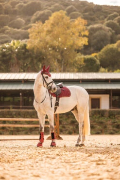 Horze Kenya Vielseitigkeitsschabracke 21 Horze Kenya Vielseitigkeitsschabracke -Cavallo Verkäufe 17444 251 06