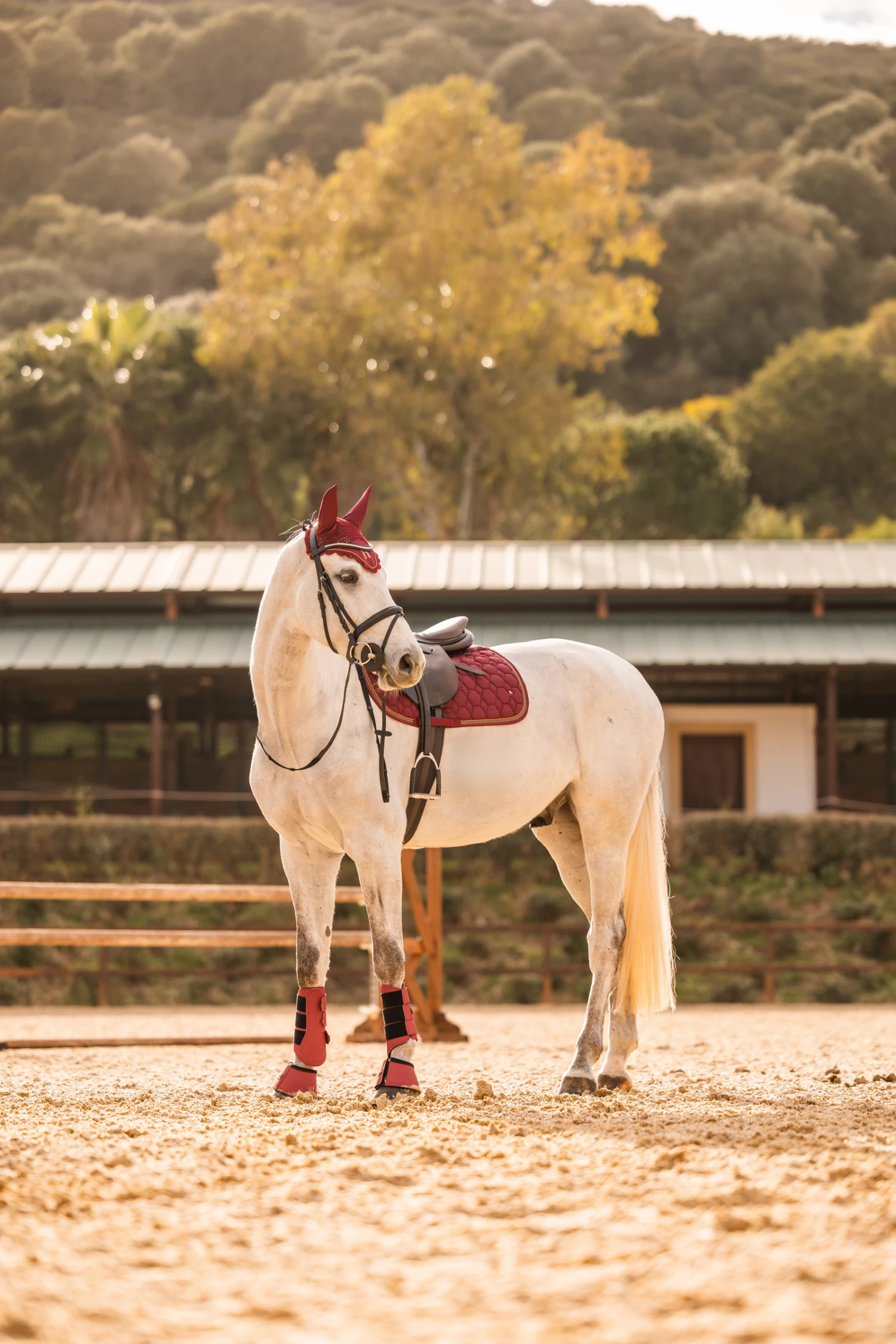 Horze Kenya Vielseitigkeitsschabracke 8 Horze Kenya Vielseitigkeitsschabracke – Bild 6