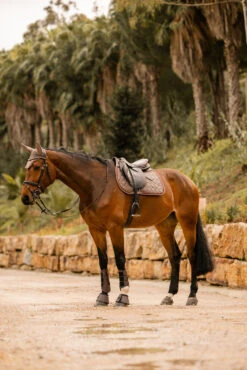 Horze Kenya Vielseitigkeitsschabracke 29 Horze Kenya Vielseitigkeitsschabracke -Cavallo Verkäufe 17444 753 07