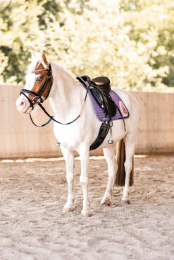 Horze Magic Carousel Vielseitigkeitsschabracke Für Ponys 13 Horze Magic Carousel Vielseitigkeitsschabracke Für Ponys -Cavallo Verkäufe 17461 433 06