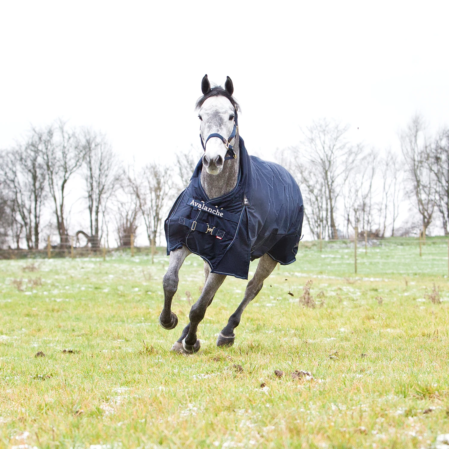 Horze Avalanche 1200D Regendecke Mit Hohem Hals Und Fleecefütterung 14 Horze Avalanche 1200D Regendecke Mit Hohem Hals Und Fleecefütterung – Bild 12