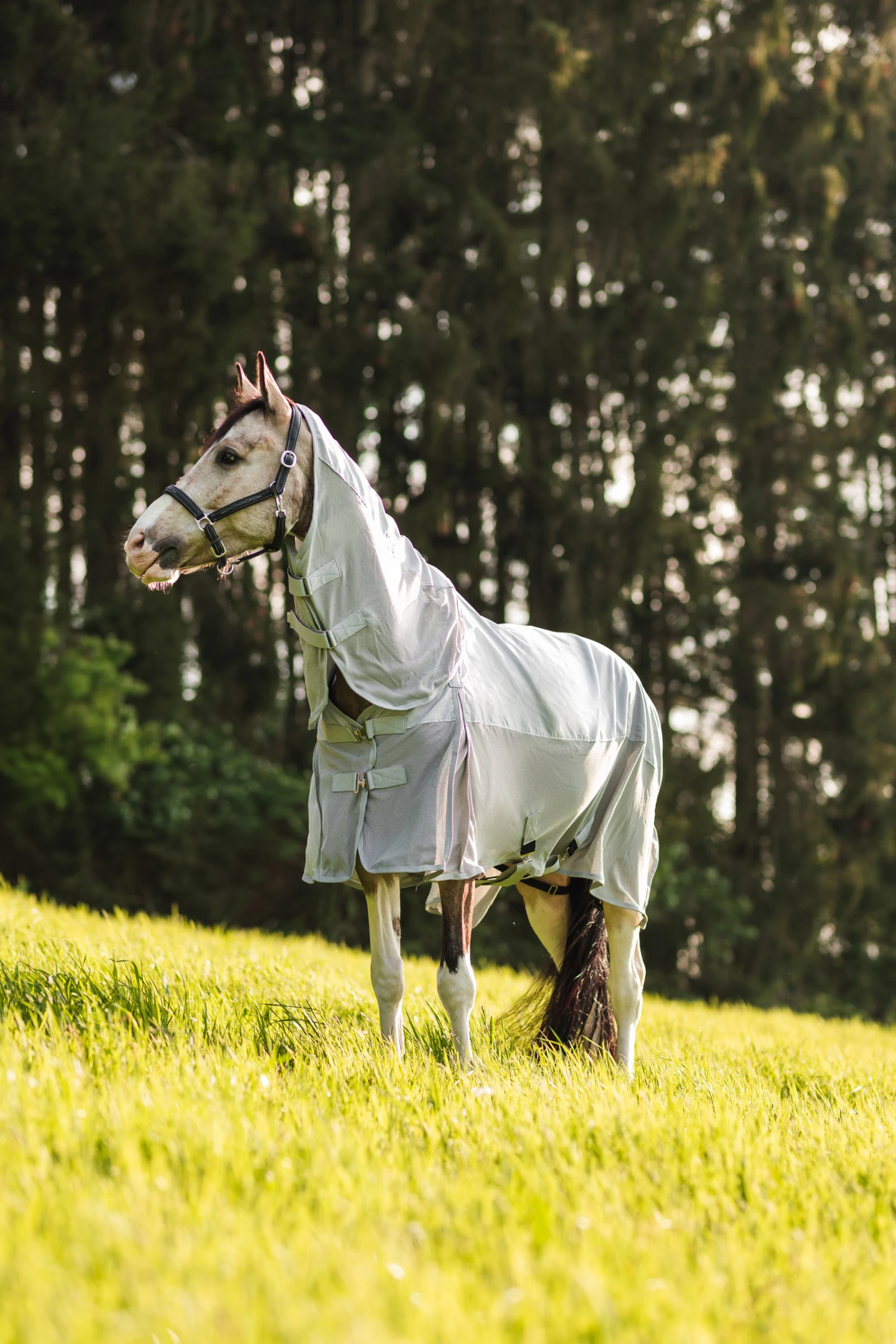 Horze Nevada Combo Regen-/Fliegendecke Mit Abnehmbarem Halsteil 7 Horze Nevada Combo Regen-/Fliegendecke Mit Abnehmbarem Halsteil – Bild 5