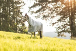 Horze Nevada Combo Regen-/Fliegendecke Mit Abnehmbarem Halsteil 29 Horze Nevada Combo Regen-/Fliegendecke Mit Abnehmbarem Halsteil -Cavallo Verkäufe 24043 lrg 09