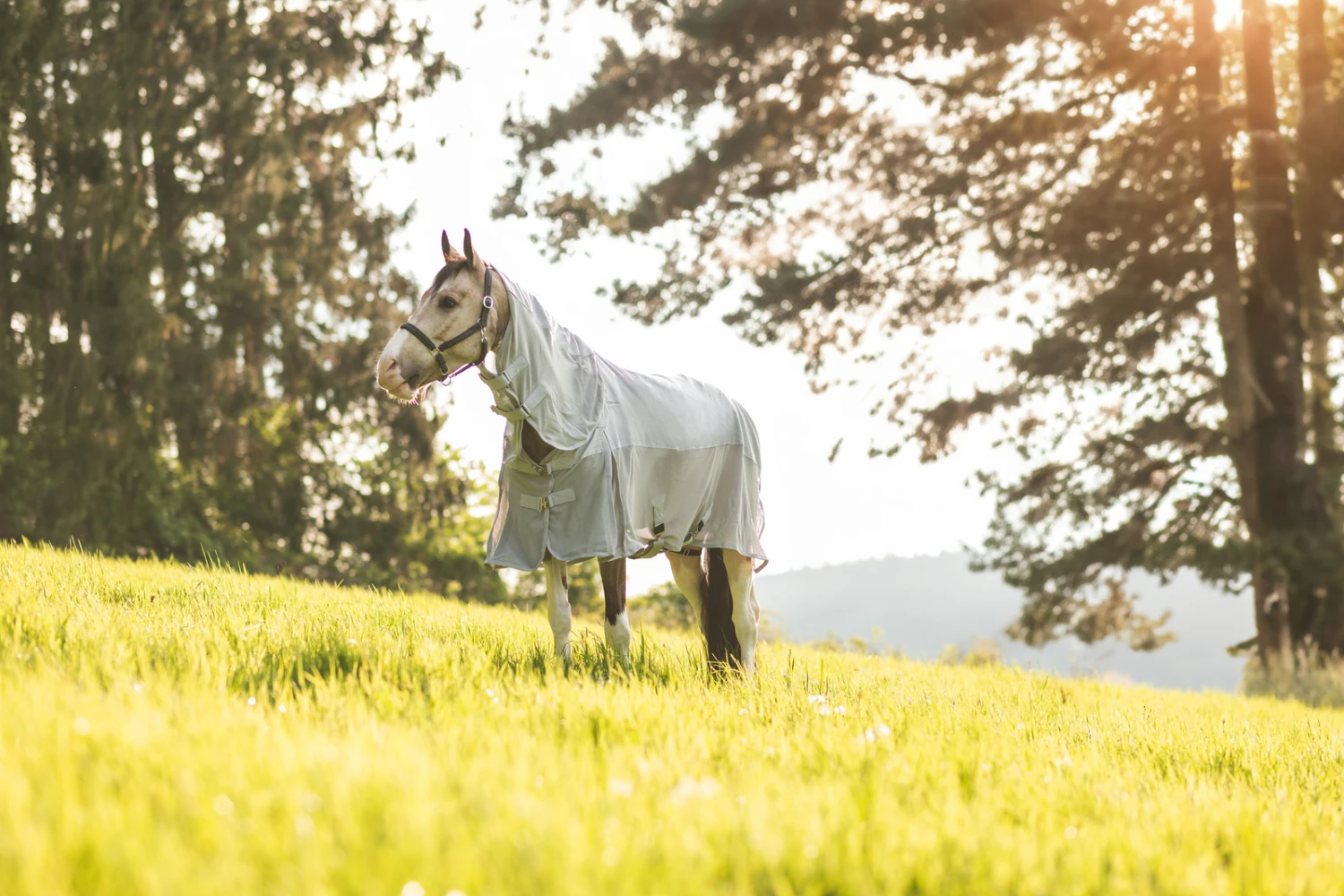 Horze Nevada Combo Regen-/Fliegendecke Mit Abnehmbarem Halsteil 10 Horze Nevada Combo Regen-/Fliegendecke Mit Abnehmbarem Halsteil – Bild 8