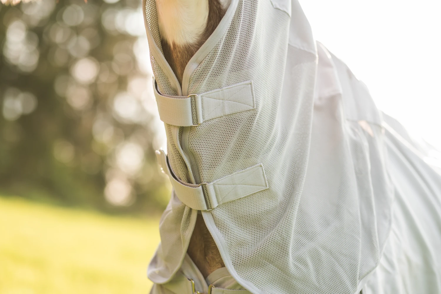 Horze Nevada Combo Regen-/Fliegendecke Mit Abnehmbarem Halsteil 13 Horze Nevada Combo Regen-/Fliegendecke Mit Abnehmbarem Halsteil – Bild 11