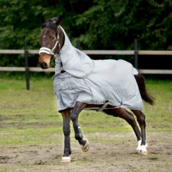 Horze Nevada 600D Regendecke, 0g -Cavallo Verkäufe 24056 LRG 2