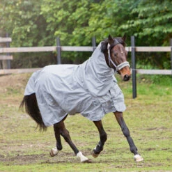 Horze Nevada 600D Regendecke, 0g -Cavallo Verkäufe 24056 LRG 3