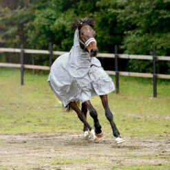 Horze Nevada 600D Regendecke, 0g -Cavallo Verkäufe 24056 LRG 5