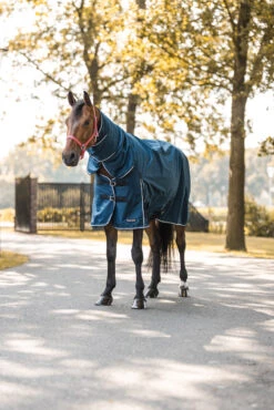 Horze Glasgow Regendecke Mit Halsteil, 150g 26 Horze Glasgow Regendecke Mit Halsteil, 150g -Cavallo Verkäufe 24109 559 06