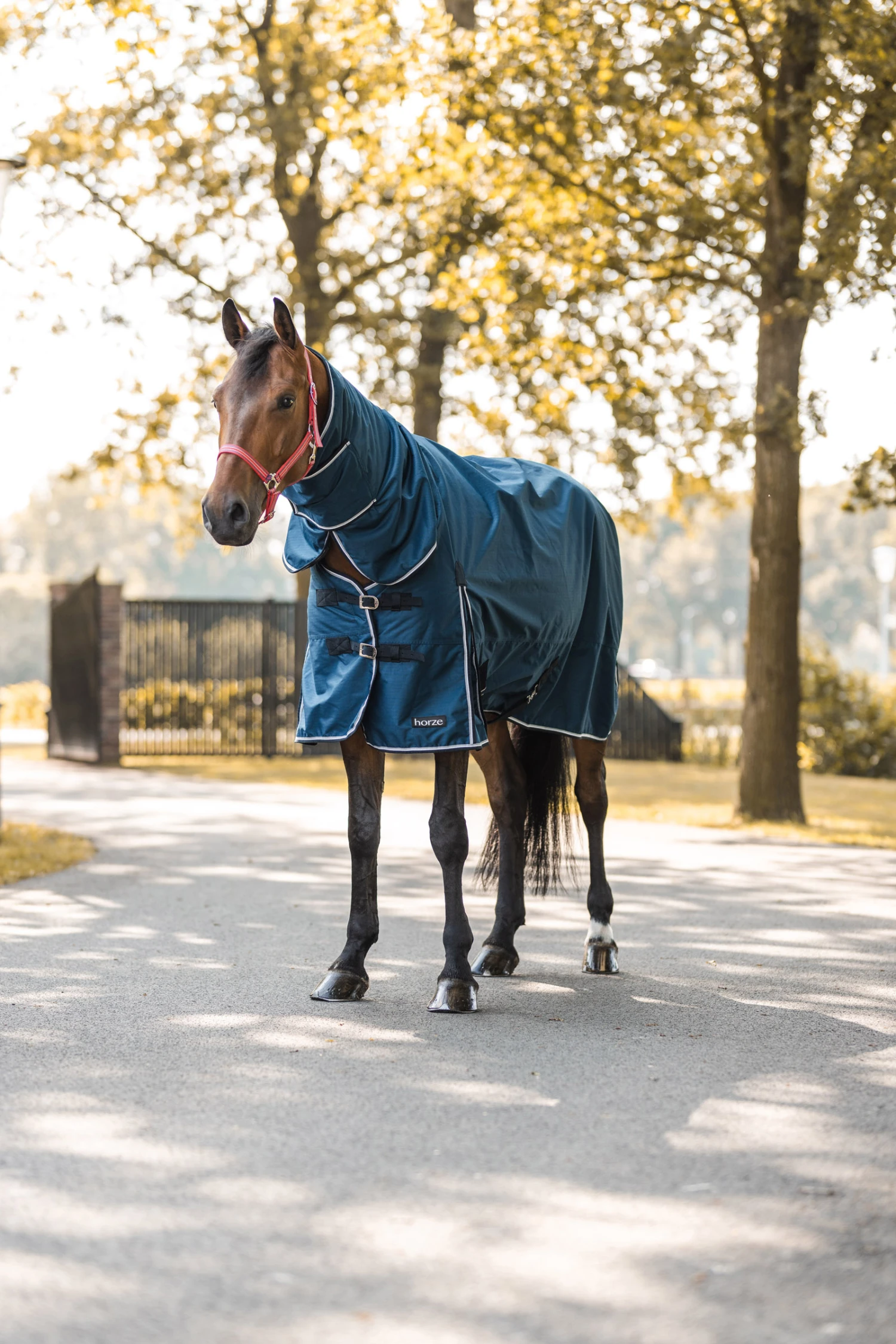 Horze Glasgow Regendecke Mit Halsteil, 150g 8 Horze Glasgow Regendecke Mit Halsteil, 150g – Bild 6