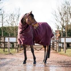 B Vertigo Georgina Weidedecke Mit Abnehmbarem Halsteil, 250g 30 B Vertigo Georgina Weidedecke Mit Abnehmbarem Halsteil, 250g -Cavallo Verkäufe 24133 WDRE 3