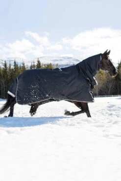 B Vertigo Georgina Winterdecke Mit Halsteil 400g -Cavallo Verkäufe 24157 VDB 03