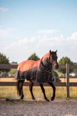 Horze Lucerne Halsteil, 250g 9 Horze Lucerne Halsteil, 250g -Cavallo Verkäufe 24199 237 04