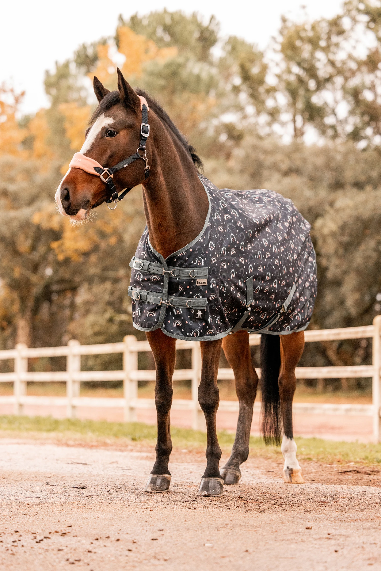 Horze Trixi Pony Weidedecke 8 Horze Trixi Pony Weidedecke – Bild 6