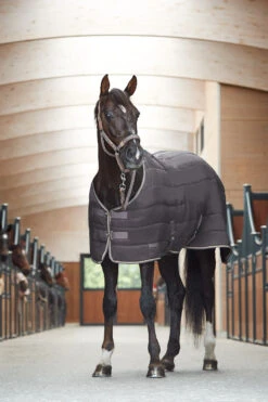 Horze Glasgow Stalldecke / Unterdecke, 100g 15 Horze Glasgow Stalldecke / Unterdecke, 100g -Cavallo Verkäufe 24306 BPG 5