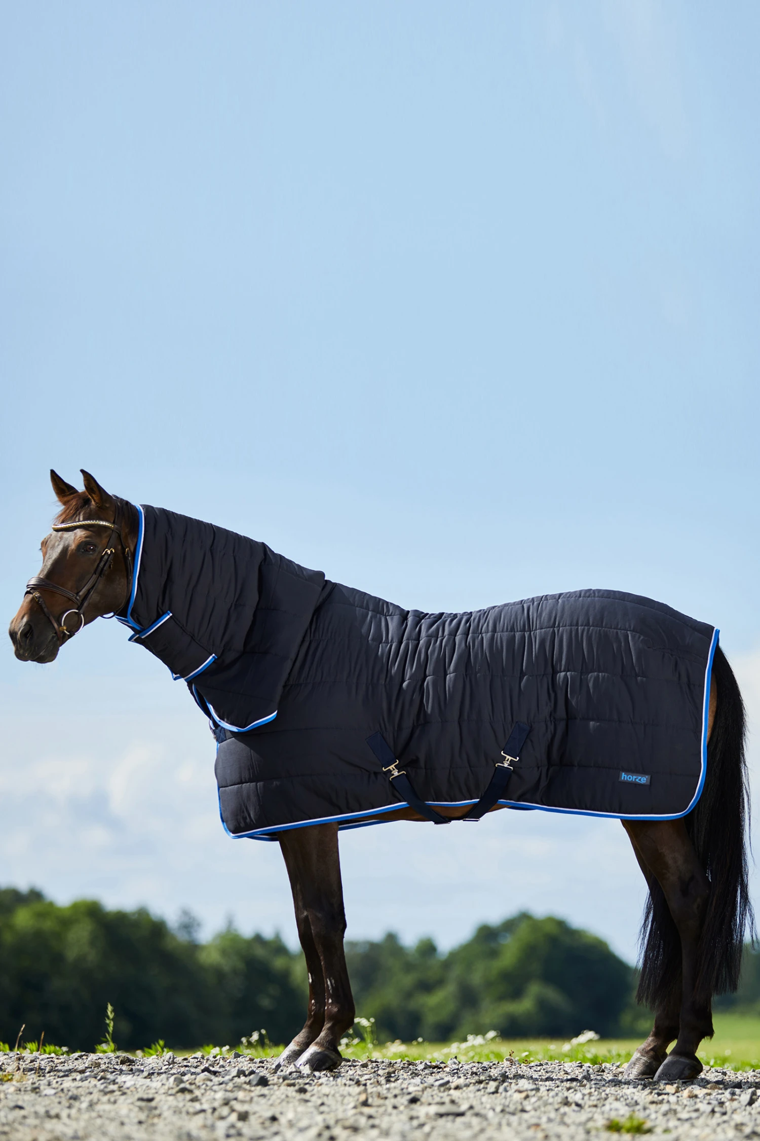 Horze Glasgow Stalldecke / Unterdecke Mit Halsteil, 250g 3 Horze Glasgow Stalldecke / Unterdecke Mit Halsteil, 250g