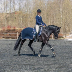 B Vertigo Concord Trainingsdecke -Cavallo Verkäufe 24328 VDB 3