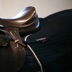 B Vertigo Concord Trainingsdecke -Cavallo Verkäufe 24328 VDB 6