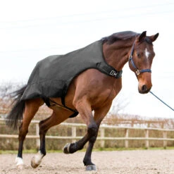 Horze Nevada Führanlagendecke, 200g -Cavallo Verkäufe 24331 BL 3
