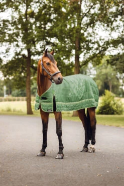 Horze Quebec Fleece Liner, 100g 15 Horze Quebec Fleece Liner, 100g -Cavallo Verkäufe 24398 651 07