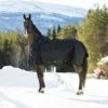 Horze Nevada Winterdecke, 400g 1 Horze Nevada Winterdecke, 400g -Cavallo Verkäufe 24571 BL 1