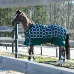 Horze Nevada Winterdecke, 400g 25 Horze Nevada Winterdecke, 400g -Cavallo Verkäufe 24571 BTGR VDB 1