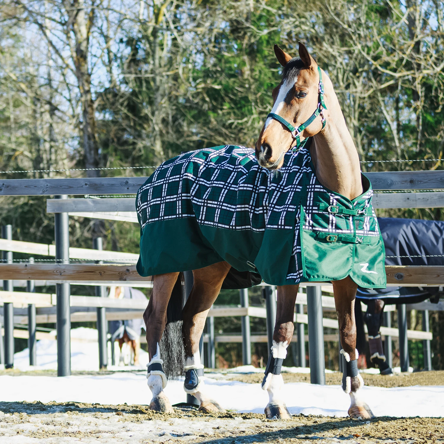 Horze Nevada Winterdecke, 400g 8 Horze Nevada Winterdecke, 400g – Bild 6