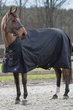 Horze Nevada Regendecke -Cavallo Verkäufe 24575 BL 02