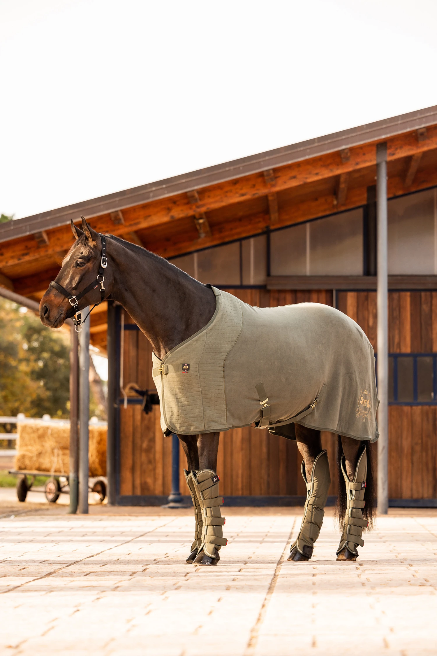 B Vertigo Wellington Abschwitzdecke 8 B Vertigo Wellington Abschwitzdecke – Bild 6