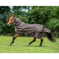 Bucas Smartex Combi Neck, 0g -Cavallo Verkäufe 24860 BR 1