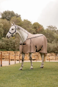 B Vertigo Combo Fly Rug With Detachable Neck And UV Protection 20 B Vertigo Combo Fly Rug With Detachable Neck And UV Protection -Cavallo Verkäufe 24899 726 09