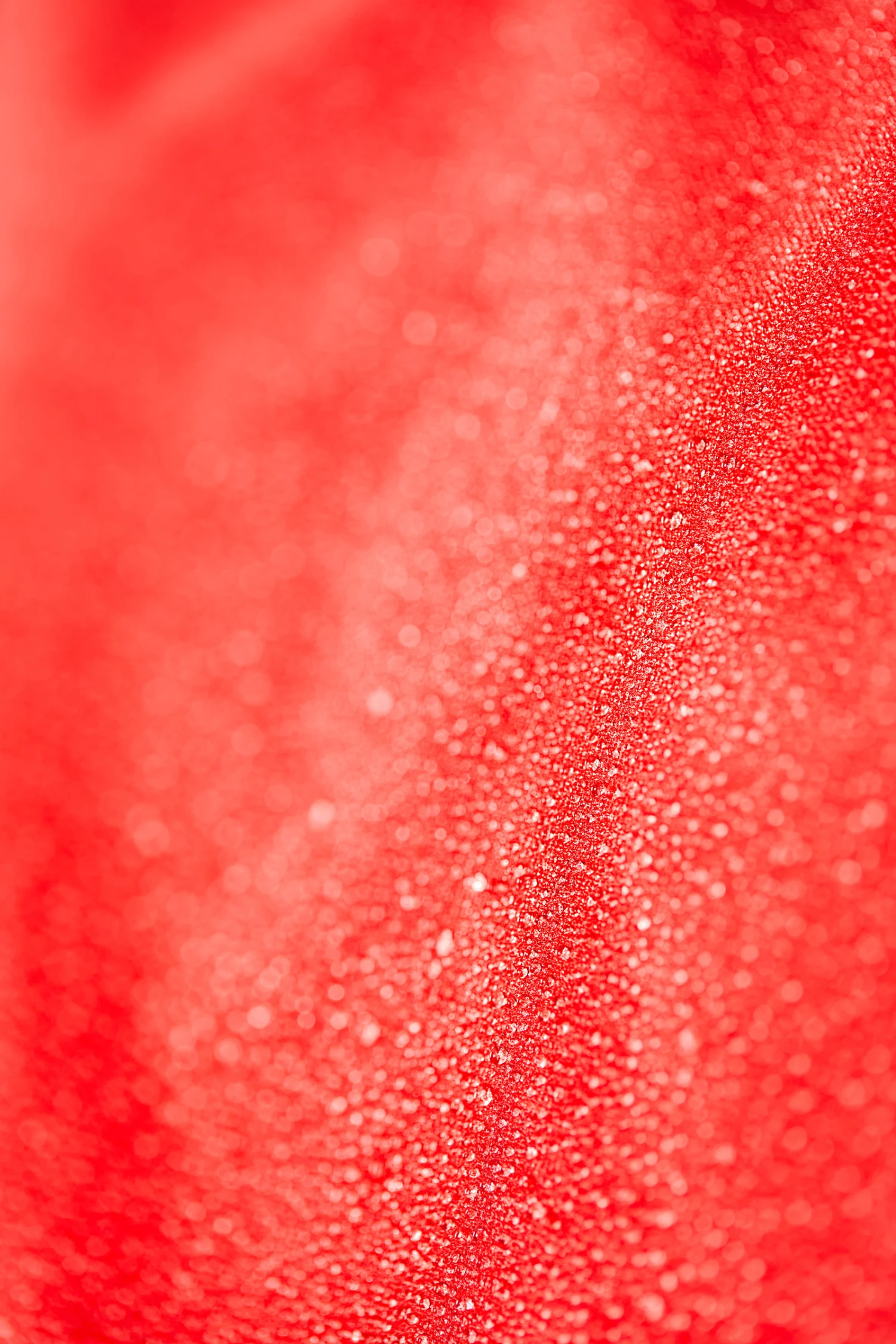 Leichte Weidedecke 600D, 100g 7 Leichte Weidedecke 600D, 100g – Bild 5