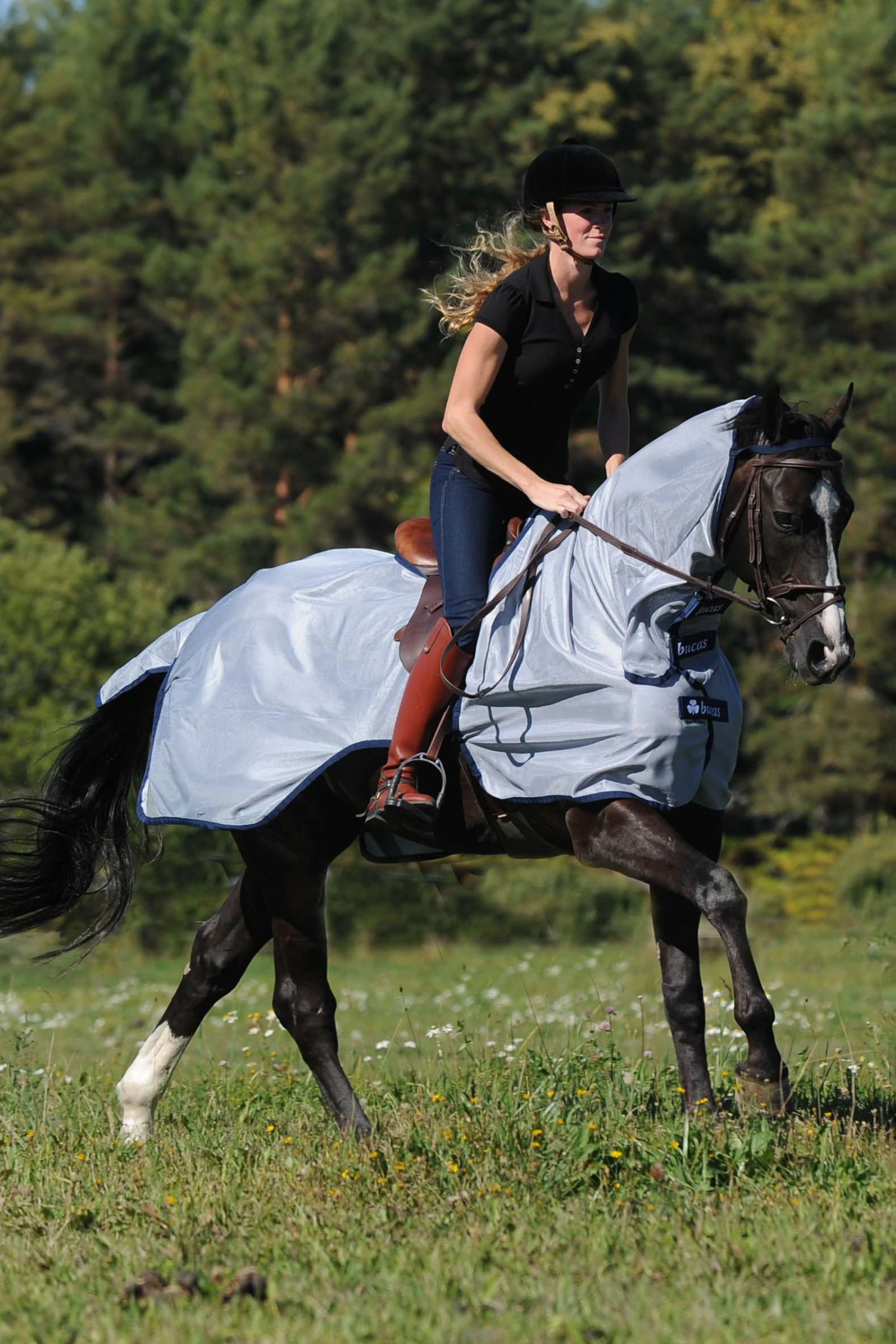 Bucas Buzz Off Fliegenausreitdecke 4 Bucas Buzz Off Fliegenausreitdecke – Bild 2