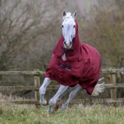 Bucas Freedom Turnout Full Neck Regendecke Mit Festem Halsteil, 0g -Cavallo Verkäufe 300453 CRE 2