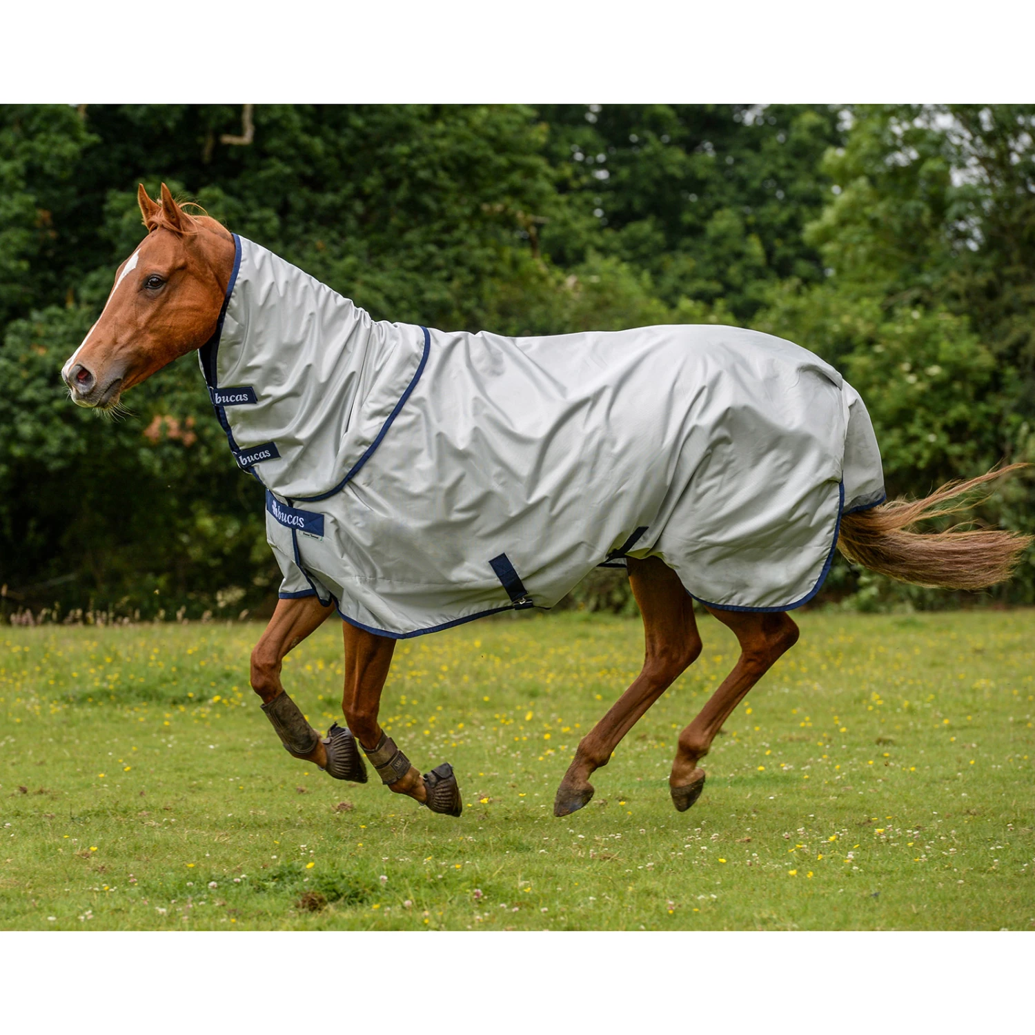 Bucas Power Combi Halsteil 300g 3 Bucas Power Combi Halsteil 300g